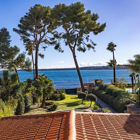 Villa Mare Palm